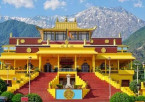 Explore the Spirit of Dharamshala