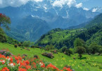 Dharamshala to Dalhousie – Serene Highland Escape
